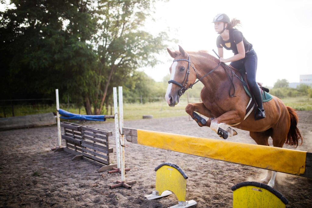 Guida agli Accessori per l’Equitazione: Essenziali, Tecnici e Artigianali